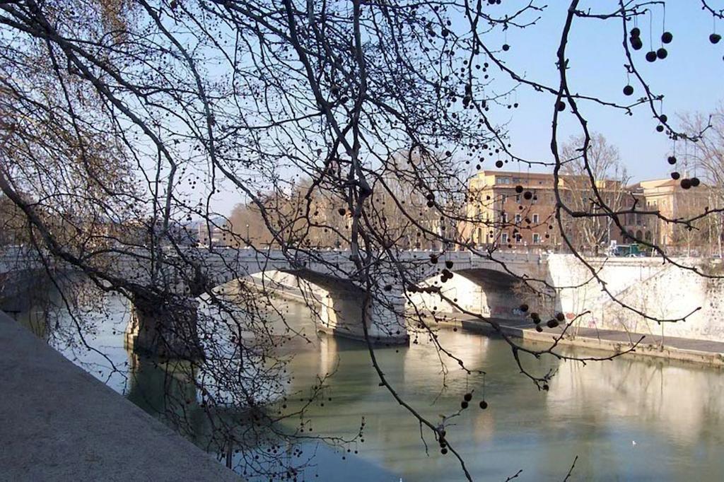 Hostel Orsa Maggiore For Women Only