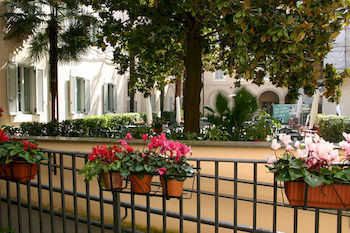Orsa Maggiore For Women Only Hostel Rome
