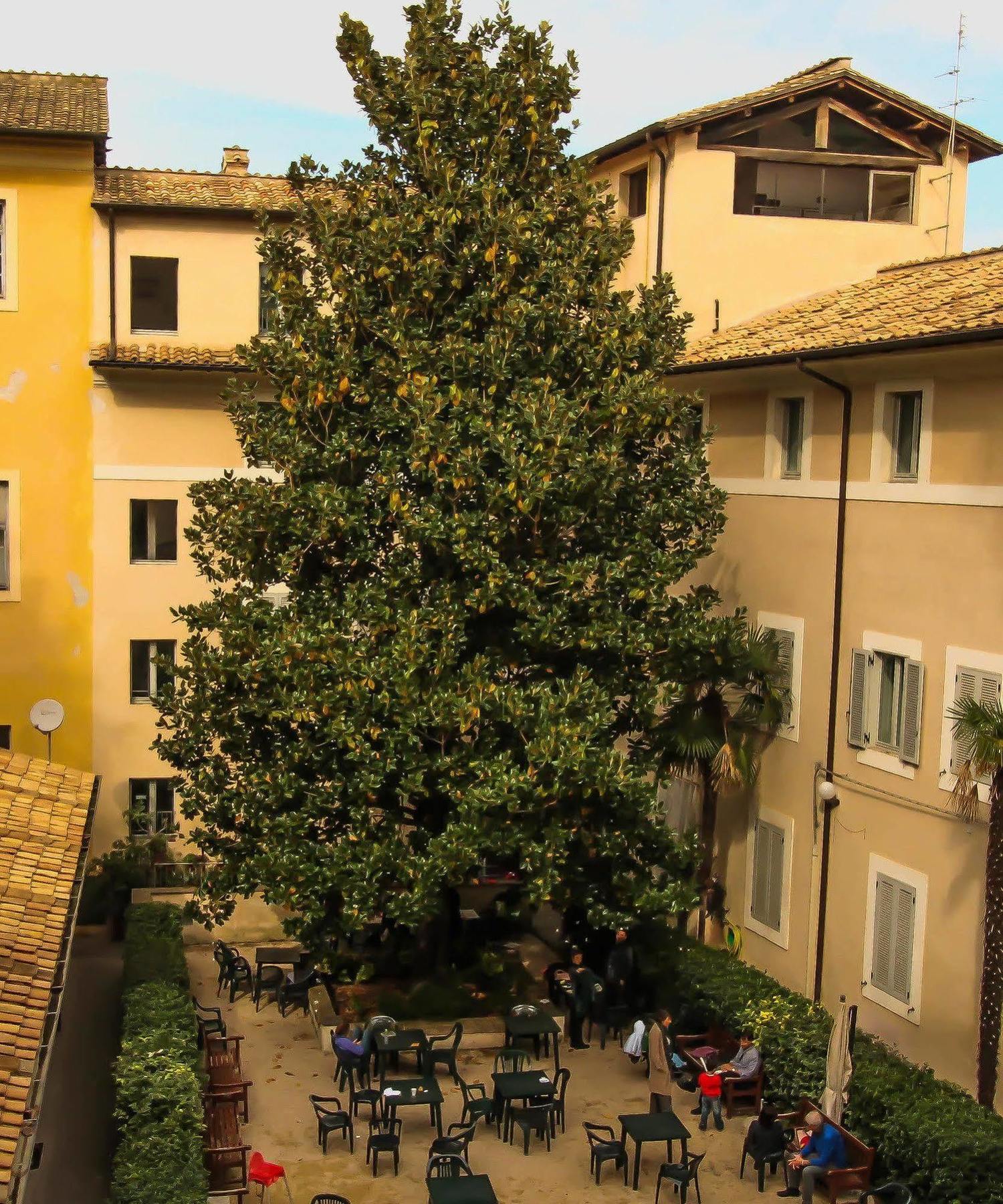 Hostel Orsa Maggiore For Women Only Rome